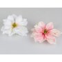 Magnolia floating pink