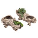 Planter tree trunk, natural color, approx. 42 / 45 cm