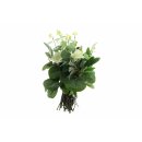 Bouquet de fleurs "Fleurs blanches", env. 44 cm