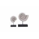 Figurine sculpture Hilda coquillage ammonite sur support
