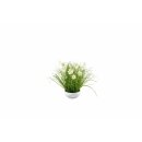 Gras in Schale mit Bl&uuml;ten, creme/ gr&uuml;n, ca. 42 cm