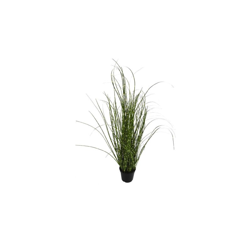 Gras im Topf, grn/gelb, ca. 61 cm - Benera, 6,45