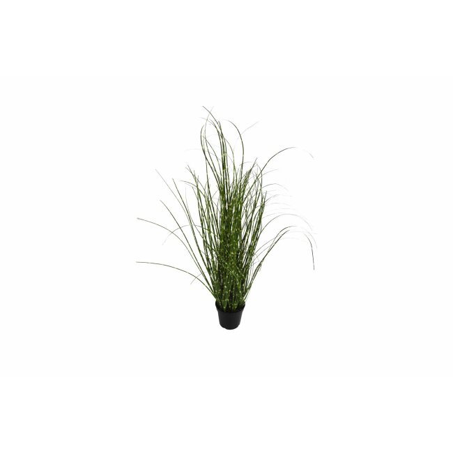 Gras im Topf, gr&uuml;n/gelb, ca. 61 cm