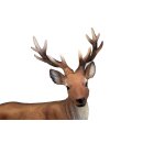 Stag standing, approx. 60 cm