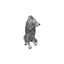 Wolf, Welpe, ca. 50 cm