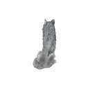 Wolf, Welpe, ca. 50 cm
