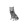 Wolf, Welpe, ca. 50 cm