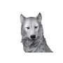 Wolf, Welpe, ca. 50 cm