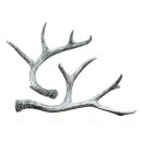 Trendy Deco Gewei "Zilver" in Natuurlijk Chique...