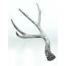 Trendy decorative antlers "Silver" in Natural Chic Set of 2 polyresin