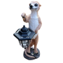 Meerkat with lantern