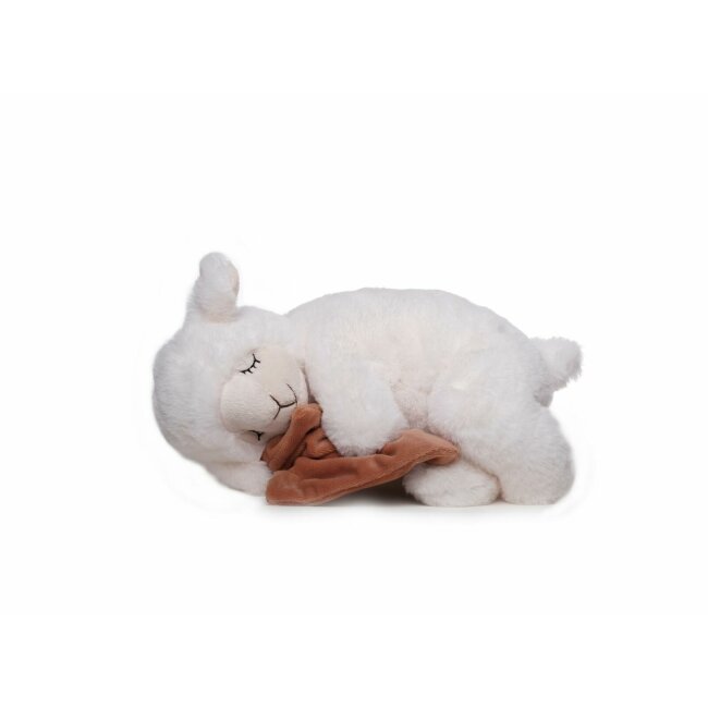 schlafendes Schaf mit Tuch