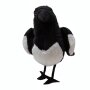 Plush magpie 12 cm
