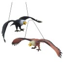 Weißkopfseeadler zum Aufhängen 2er Set 37 cm