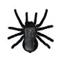 Ferngesteuerte Spinne