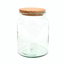 Mini écosystème en bouteille