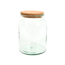 Mini écosystème en bouteille