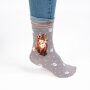 Socken Fuchs