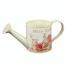 Fleur gieter, klein, antiek crème, gekleurd,...