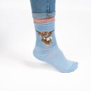 Socken Kuh