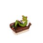 Frog after work light green