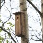 Pileated woodpecker nesting box made of pine wood