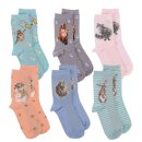 Socks