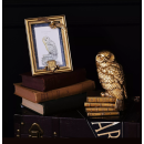 Harry Potter Bilderrahmen Hedwig Gold – 3D Design