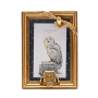 Harry Potter Bilderrahmen Hedwig Gold – 3D Design